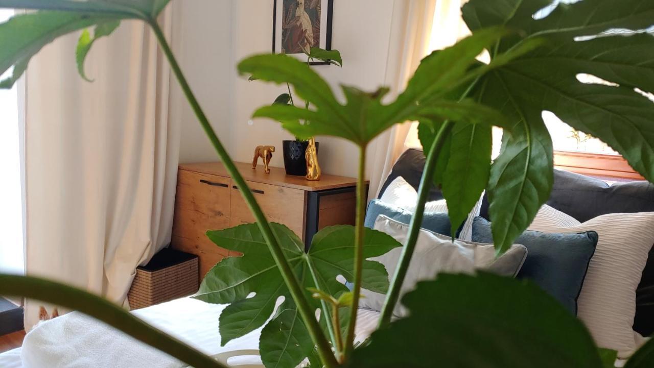 Apartament Dolce Vita Koscielisko Resort エクステリア 写真